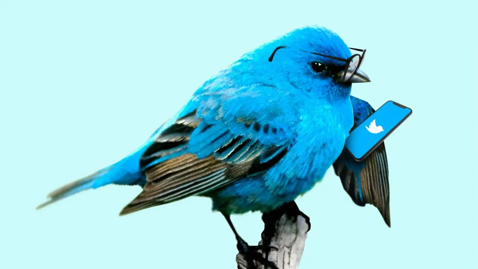How could Twitter have stopped the attack? (Part 2)