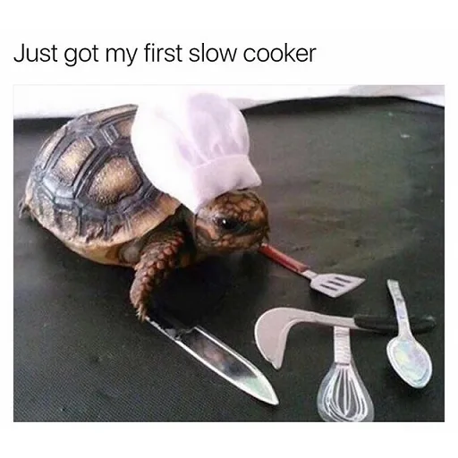 Cook turtle